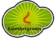 Lombrigreen