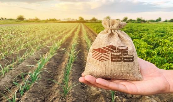 como enfrentar la crisis de los fertilizantes