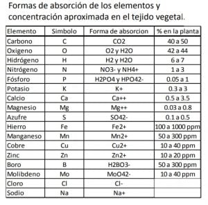 Nutrición vegetal de bajo costo