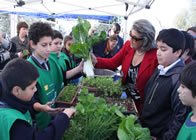 ecoescuela