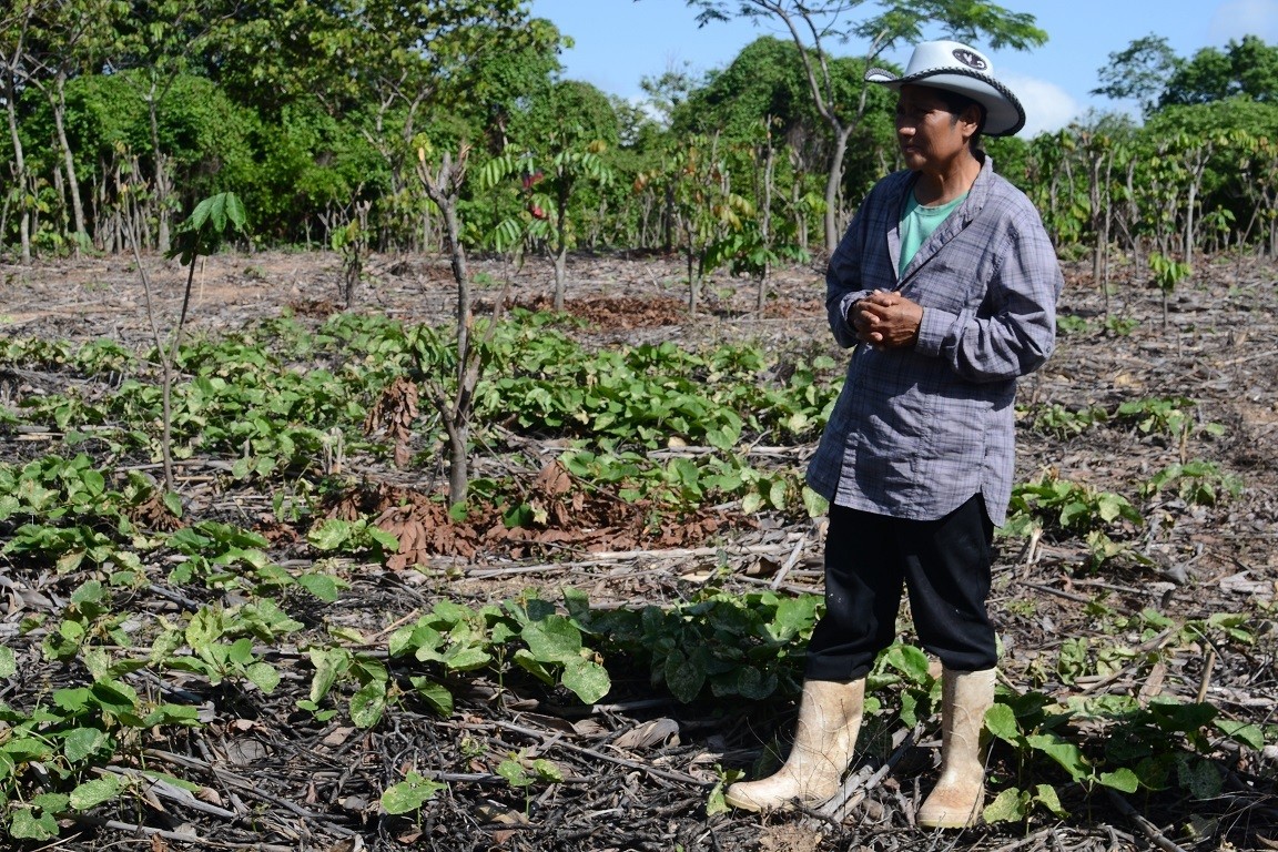 agricultura-regenerativa