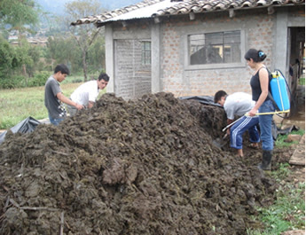 agricultura