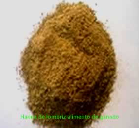 alimento-para-ganado
