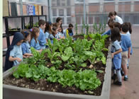 ecoescuela