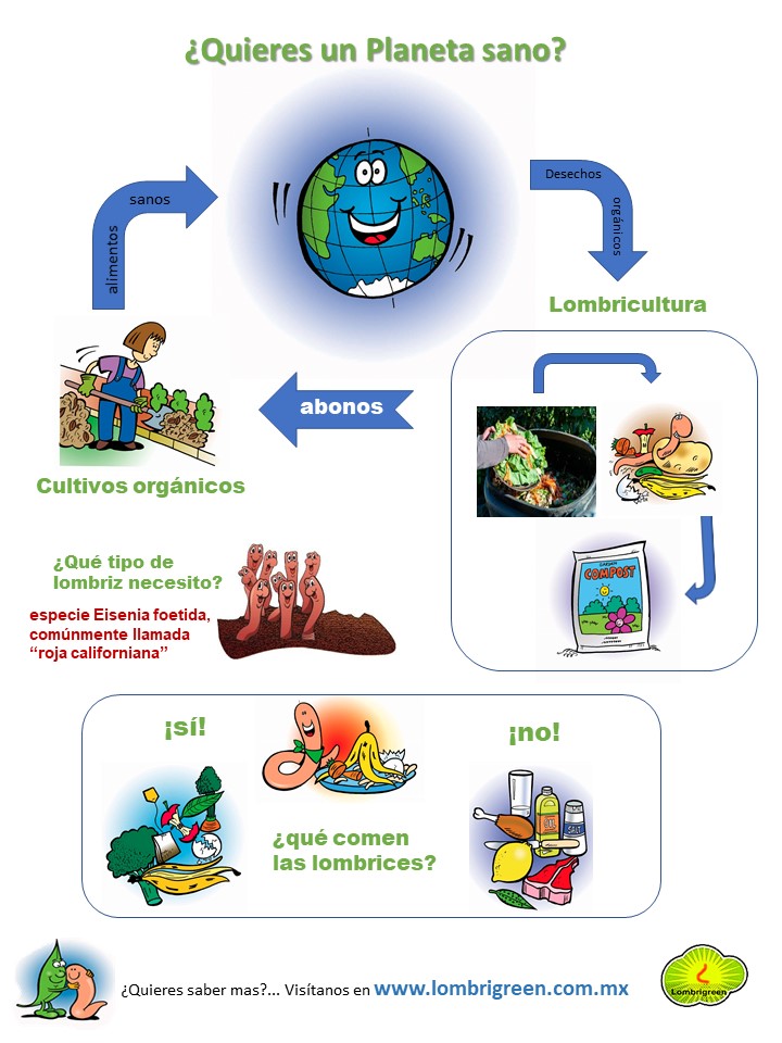 infografia-lombriz-roja