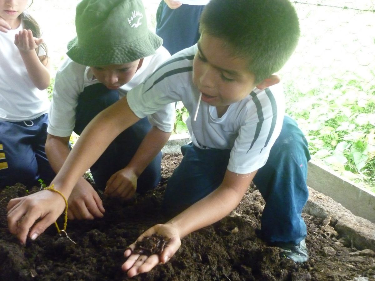 lombricultivos en la escuela