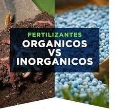 fertilizante organico